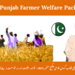 CM Punjab Farmer Welfare Package January 2026