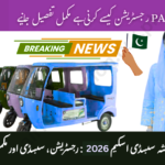 PAVE Electric Rickshaw Subsidy Scheme Pakistan 2026
