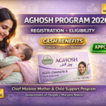 CM Punjab Aghosh Program 2026