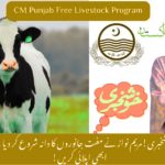 Punjab CM Livestock Card Scheme 2026