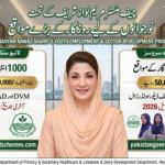 Maryam Nawaz Internship Program 2026