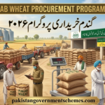 Punjab Wheat Procurement Program 2026