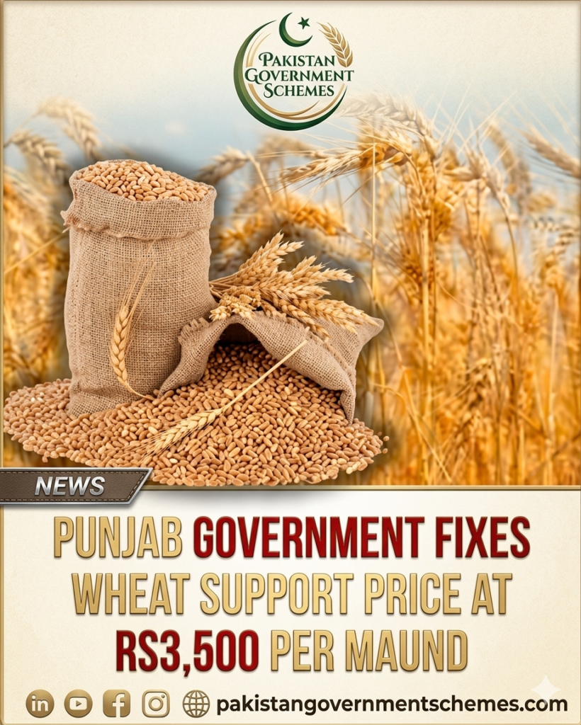 Punjab Wheat Procurement Program 2026